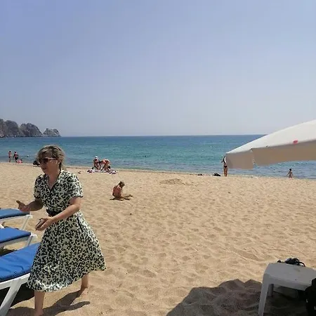 Damlataş Apart Otel Alanya